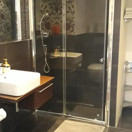 Vv 公寓 布尔诺